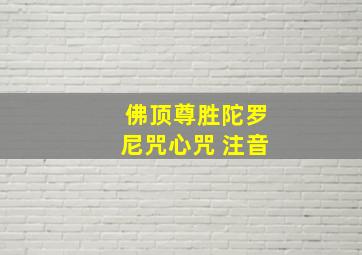 佛顶尊胜陀罗尼咒心咒 注音